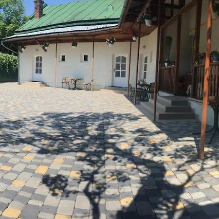 Gelena Гостьовий Двір Oezjhorod Buitenkant foto